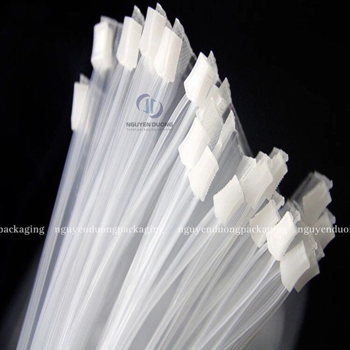 Túi zipper Khóa nhựa Trong