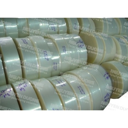 Cuộn màng PP