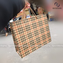 Túi giấy kraft ngang in sẵn